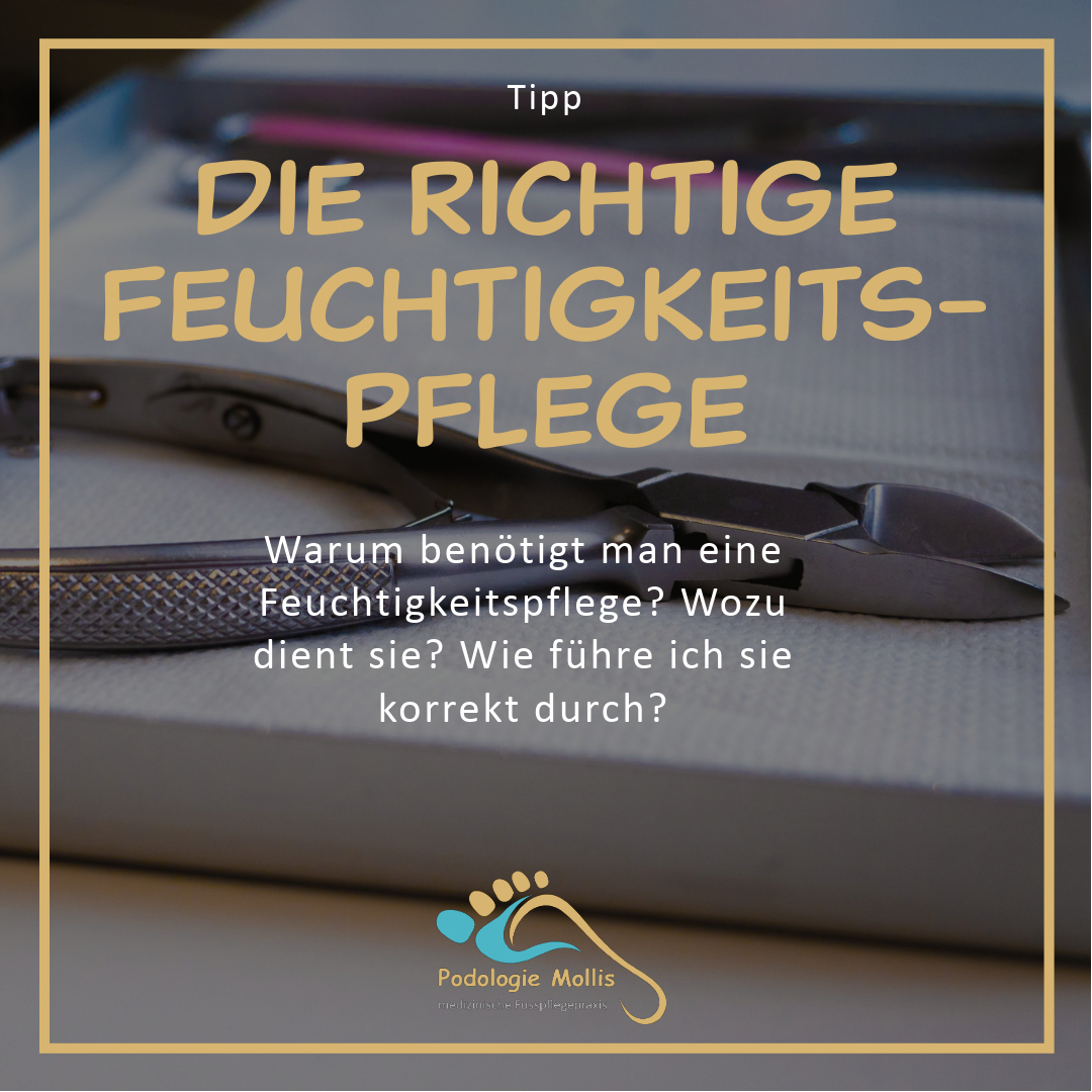 Eine Auswahl an Fusscremes für die Feuchtigkeitspflege, empfohlen von Andrea Stüssi, Podologie Mollis, für gesunde und gepflegte Füsse.